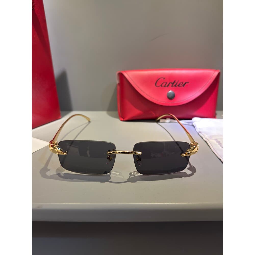 Cartier Gözlük Erkek — 1