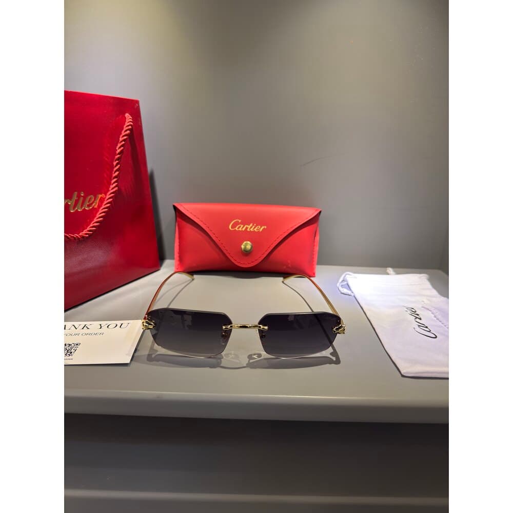 Cartier Gözlük Erkek — 1