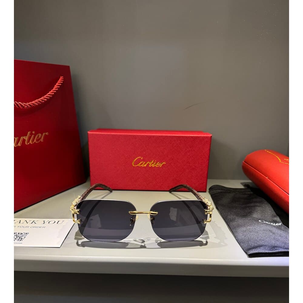 Cartier Gözlük Erkek — 1