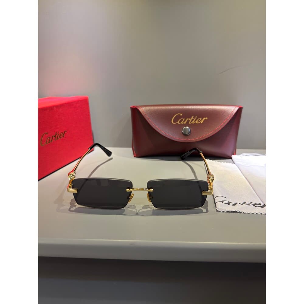 Cartier Gözlük Unisex — 1