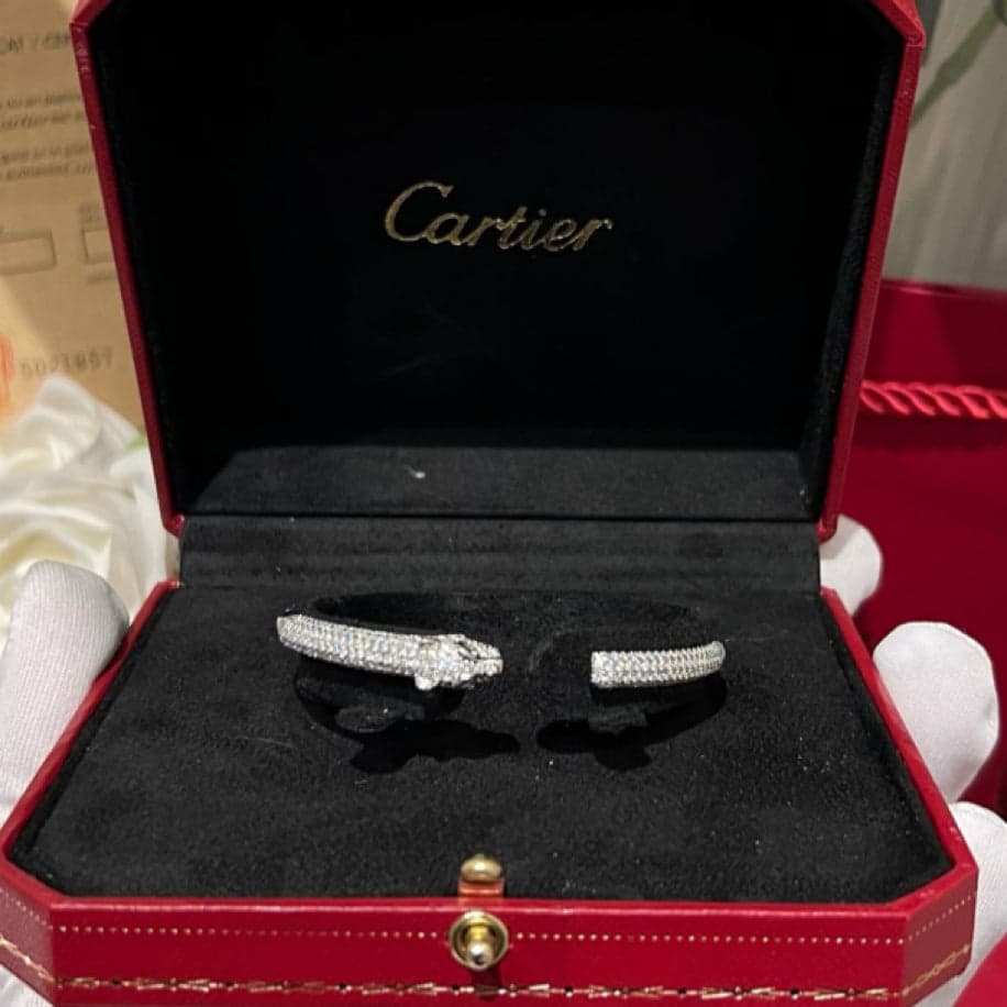 Cartier Panther’e Bileklik — 1