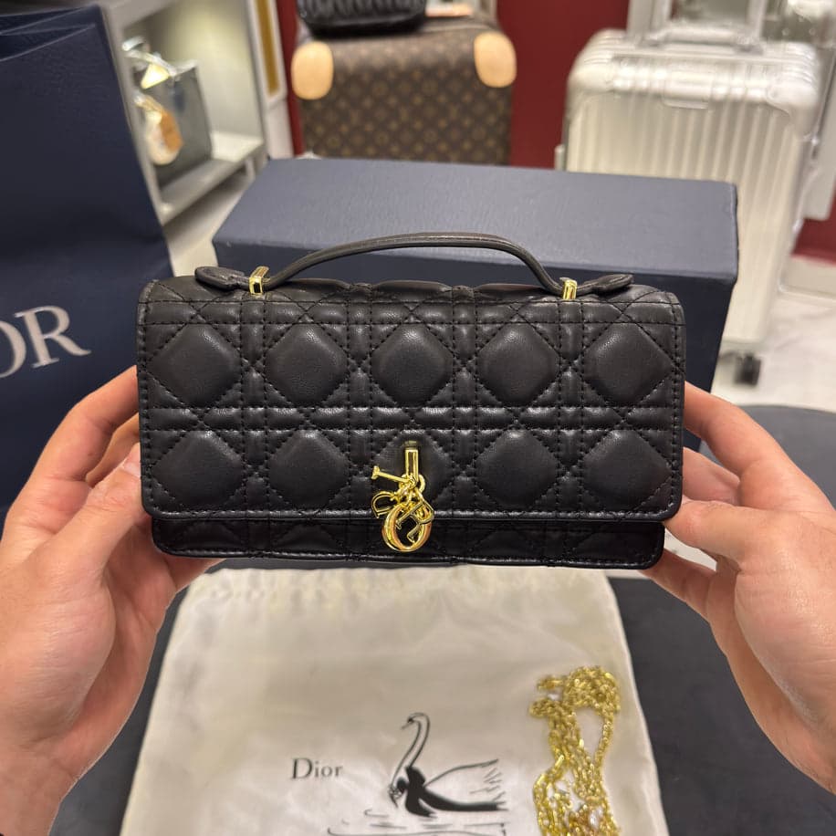 Christian Dior Bag — 1
