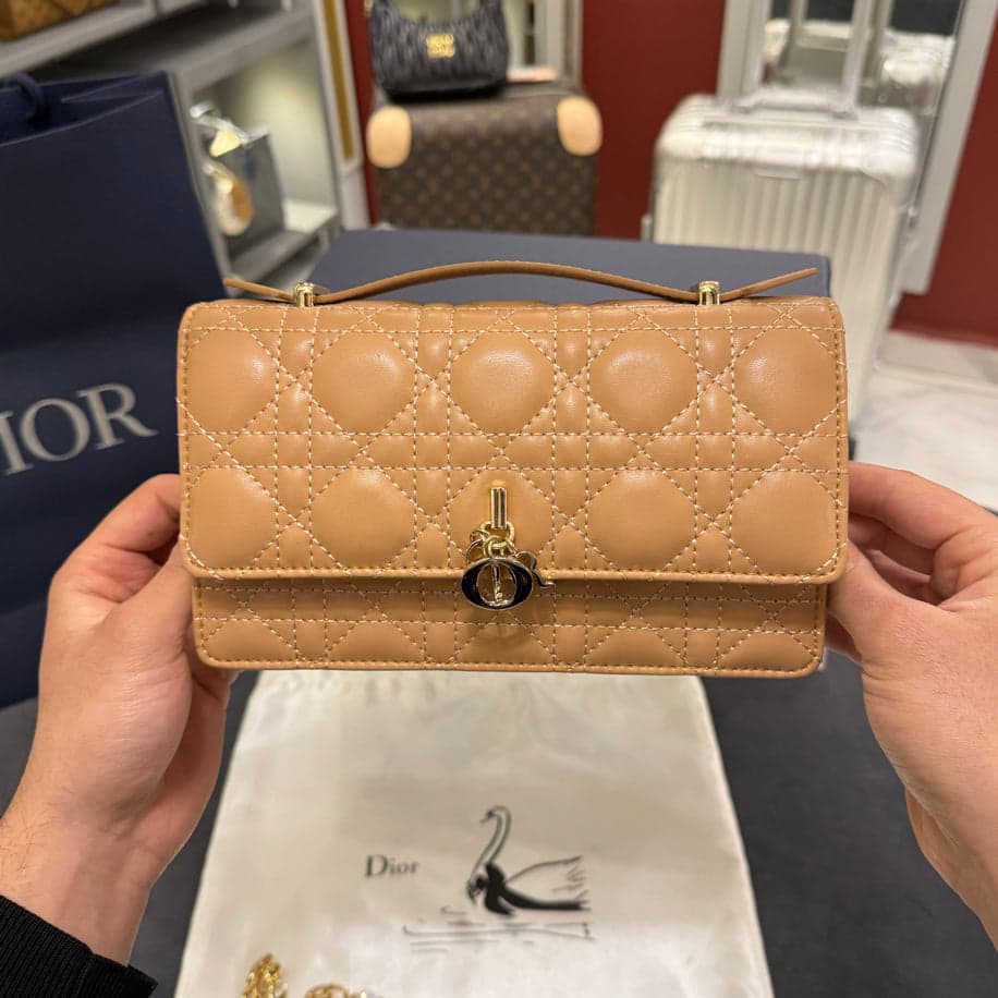 Christian Dior Bag — 1