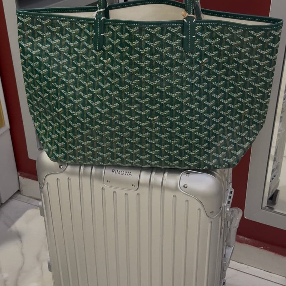 Goyard Anjou Premium Bag — 1